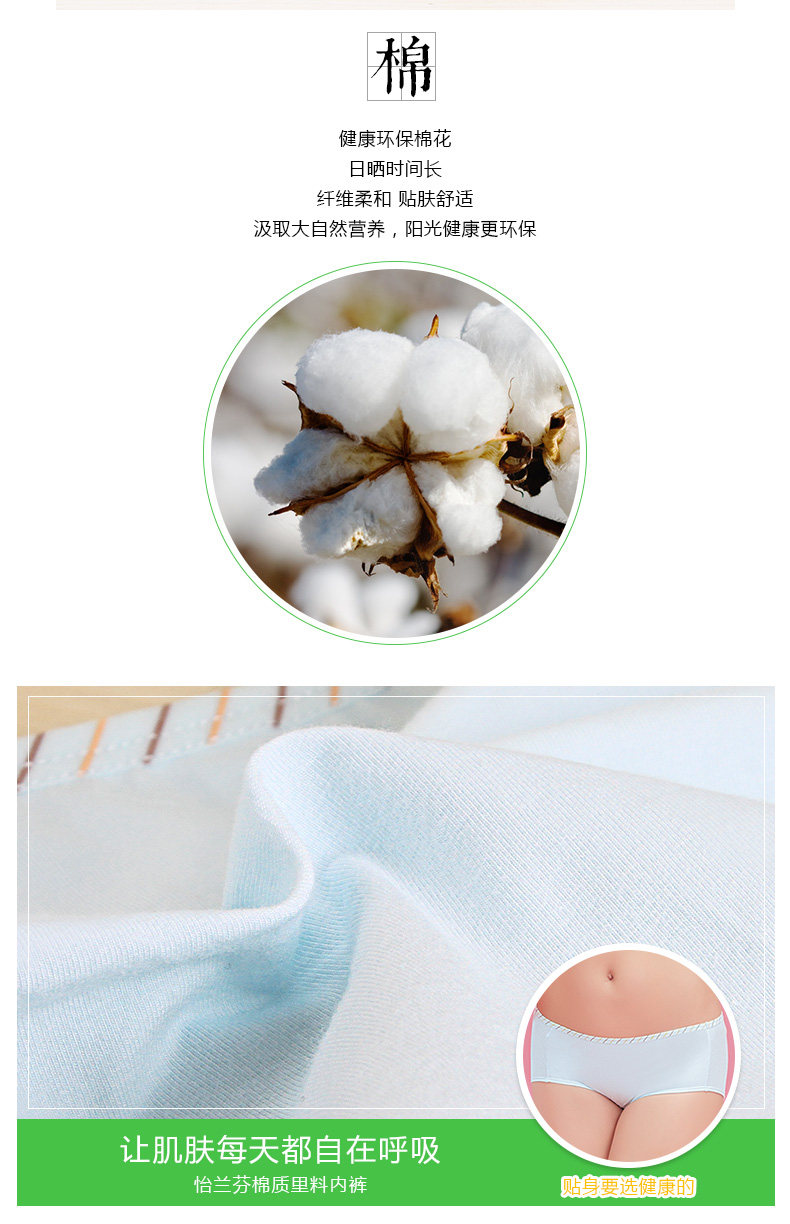 Slip jeune D631629 en coton - Ref 641352 Image 7