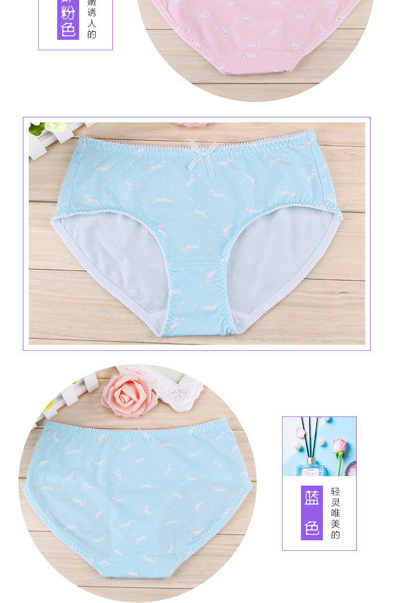 Slip jeune en coton - Ref 640146 Image 19