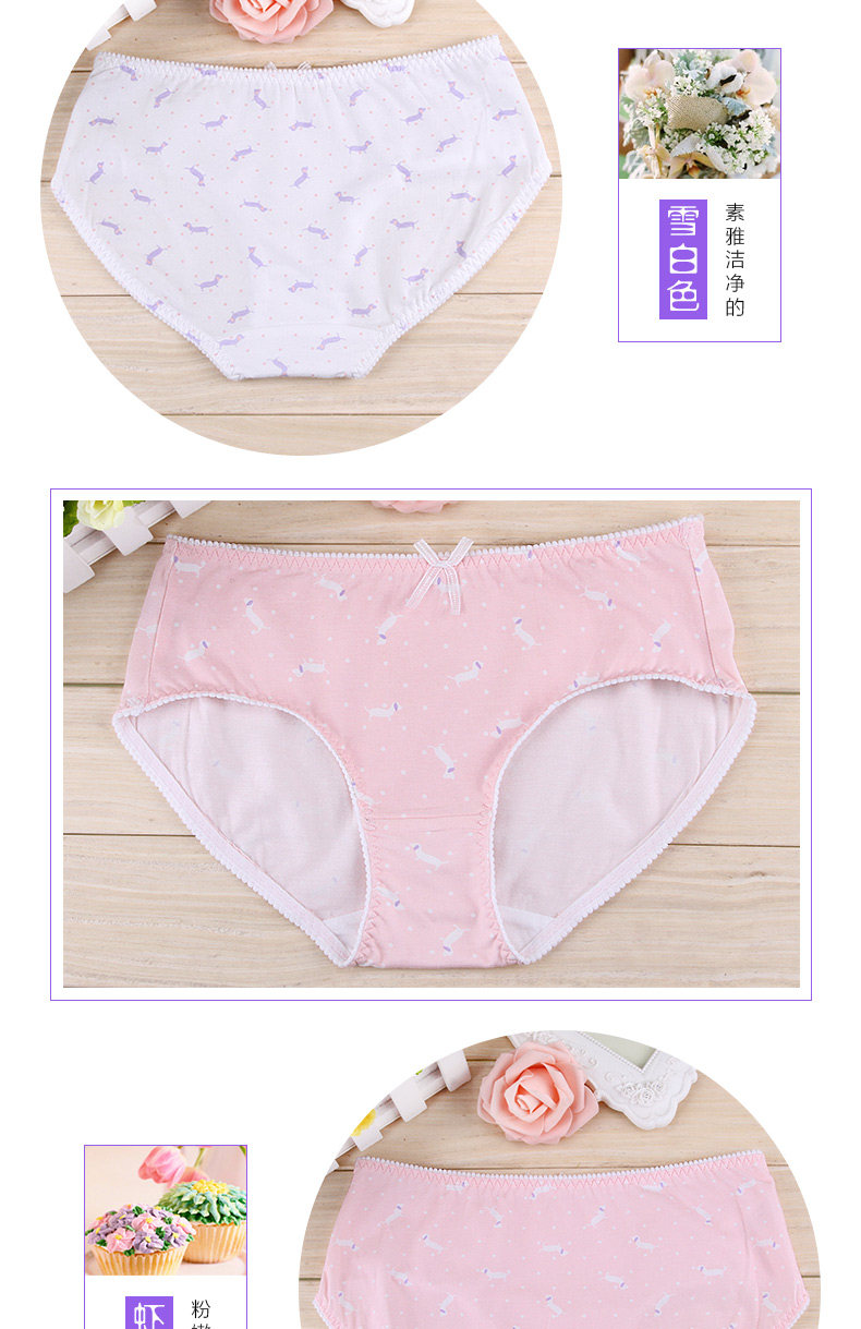 Slip jeune en coton - Ref 640146 Image 18