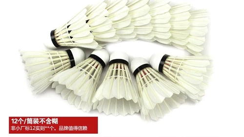 Super Brand Fan Chao/Huang Chao/Hong Chao/Blue Super/Golden Red Super Super Minton Подличный соревнование Бесплатная доставка