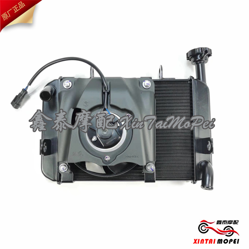 QJMOTOR Qianjiang Race 250 QJ250GS-29E water tank assembly engine radiator fan