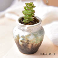 H-1 144+Звездный принц