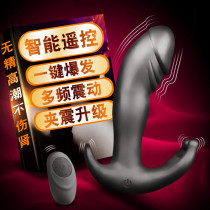 Scorpio male anal plug prostate massager remote control before and after stimulation for men and women with posterior device vibrator vibrator