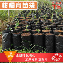 Direct selling citrus nursery bag navel orange nursery bag tangerine nursery bag nutritious cup sugar orange nursery bag nutritious fruit seedling bag