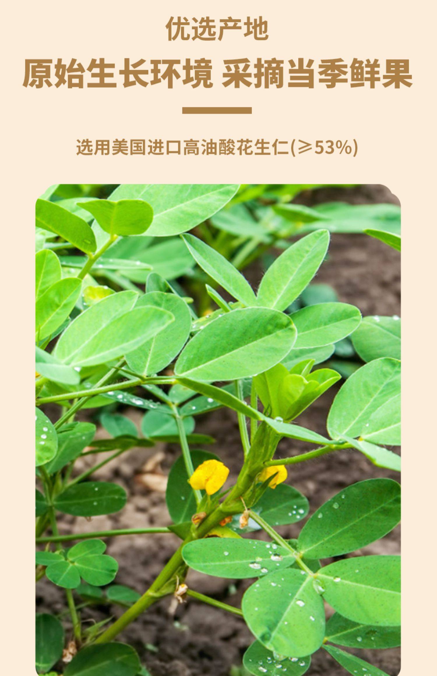 【中国直邮】如水   鱼皮花生   200g 【下酒零食NO.1】