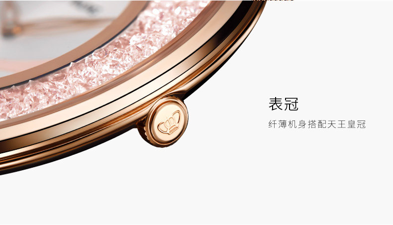 Montre bracelet pour Femme TIAN WANG  TIANWANG - Ref 3271254 Image 14