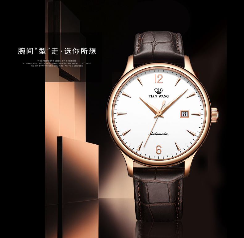 Montre pour homme TIAN WANG  TIANWANG - Ref 3272491 Image 6