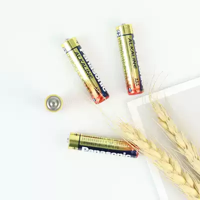 Pole Battery Film Camera Battery vibe Battery Number 7 (2 sections)