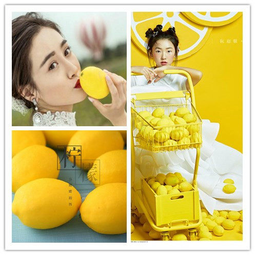 Photography props creative simulation lemon fruit props photo studio photography photo props photography with wedding photo props