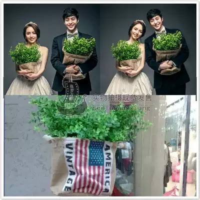 Photo studio photography photo props location wedding props popular sacks floral sacks green leaf grass