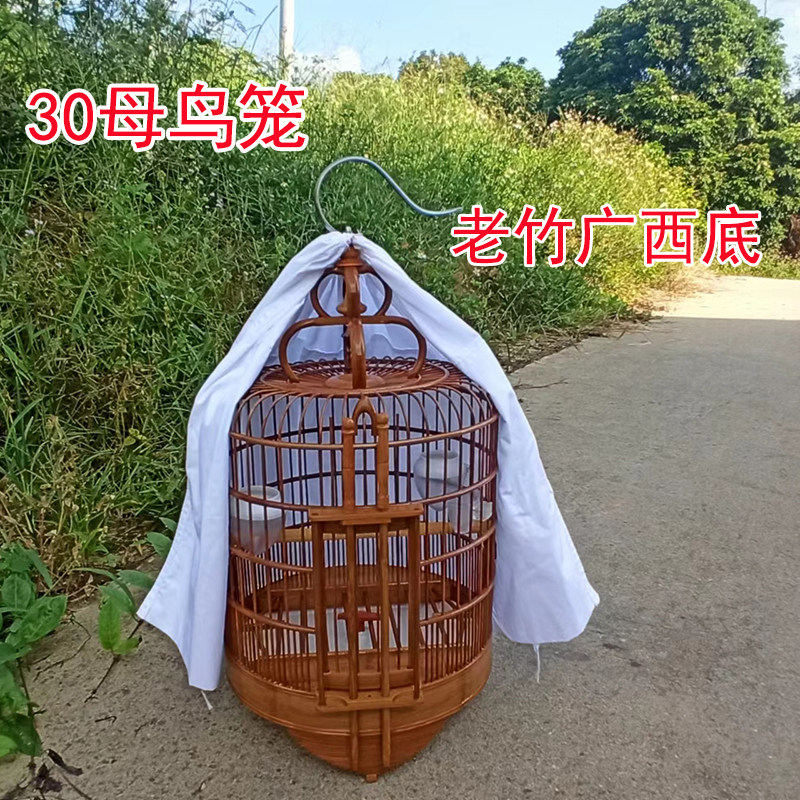 30 cm diameter Guangxi thrush female bird cage wide cage old bamboo production starling four hi cage varnish full set