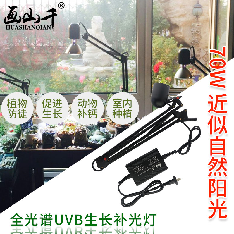 Painted mountain more than thousands of meat plants UVB full spectrum growth fill light 70W golden brine tortoise reptile Sun Calcium Light