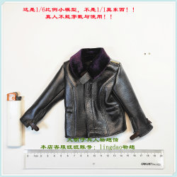 Did D80190 Ace Pilot Erich Hartmann Fur Collar Leather Jacket + Epaulettes 1/6 Scale Model