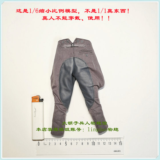 Did D80193 World War Ii Cavalry Flag Bearer Ansemo Breeches Pants 1/6 Scale Model