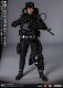 1/6 Damtoys Dam78073 Chinese Marine Corps Combat Frogman, Brand New in Box, Ready to Ship