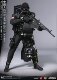 1/6 Damtoys Dam78073 Chinese Marine Corps Combat Frogman, Brand New in Box, Ready to Ship
