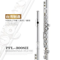 Birdsongs Parker Flute Instrument начинает дети 17 Open E -Pole e Ключ серебристое покрытие M410 флейта