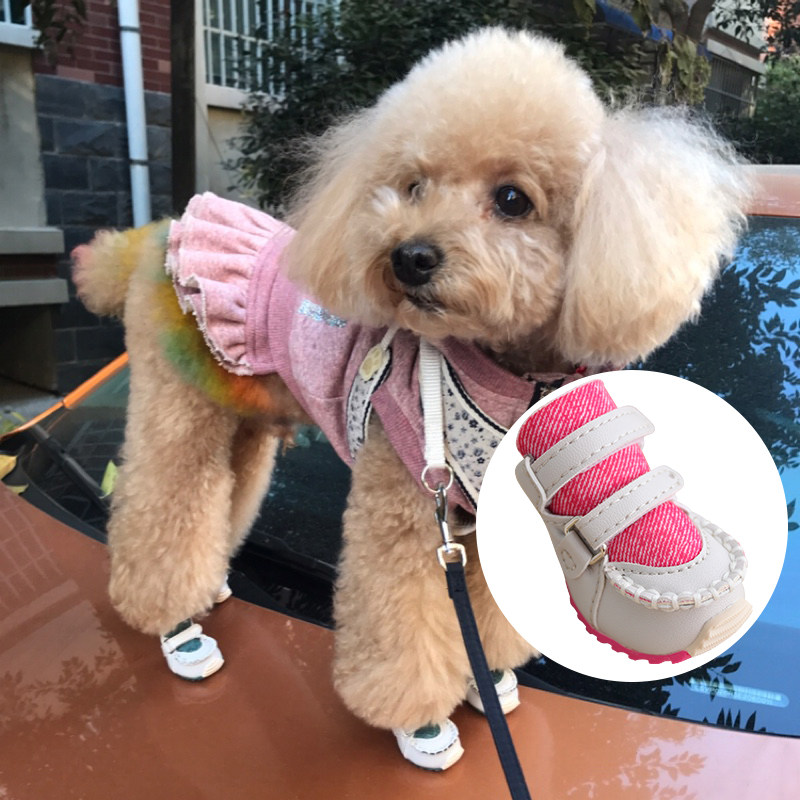 djj dog shoes spring fall teddy pet poodle shoes small dog waterproof anti-slip and breathable soft face off shoes