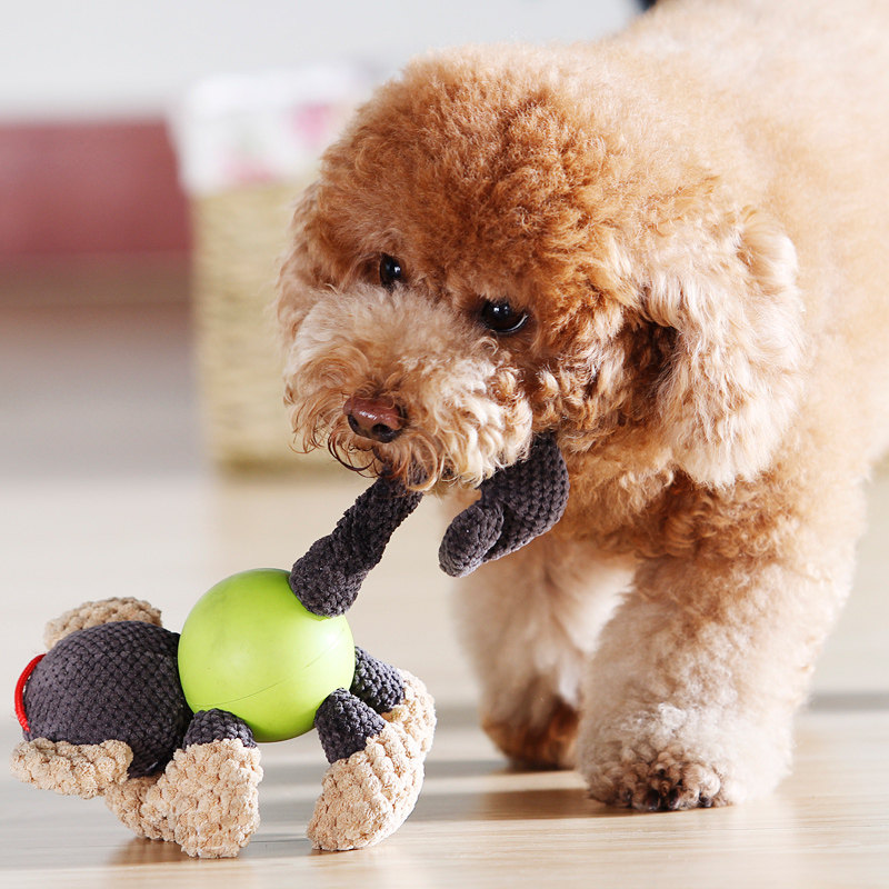 Dog toy molar plush occurrence toy Teddy Bo Golden Retriever small dog toy bite resistant pet supplies