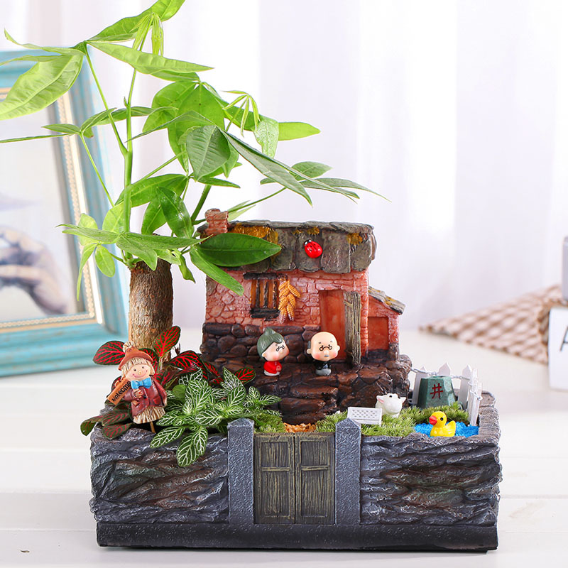 Купить Цветочный горшок Суккуленты цветочные горшки творческой личности ...