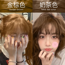 Linen gold brown hair dye free of bleached female display white milk tea colour plant natural yellow bubble dye hair dyed hair