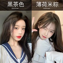 Sea Spirits Plant 2022 Black Tea Color Hair Cream Pure Bubble pop Dyed Hair Cream Linen Orange Candied Sugar Mellow Brown