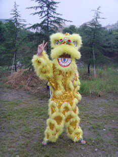 Manufacturer Direct Sale South Lion Australian wool South Lion Single South Lion Air authentic Australian wool South Lion