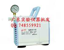 Jin Teng diaphragm vacuum pump GM-0 33A (no oil)