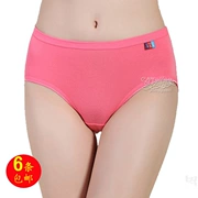 Cotton cotton đồ lót nữ eo cao tóm tắt màu tinh khiết Lycra cotton XL 6 điều 7038