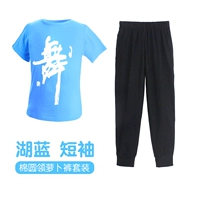 Круглый вырез, голубые короткие рукава + брюки-морковка.