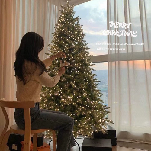 Рождественская елка в стиле ins для дома, 2024, новинка, имитация рождественского украшения, рождественские украшения, элитные украшения для гостиной