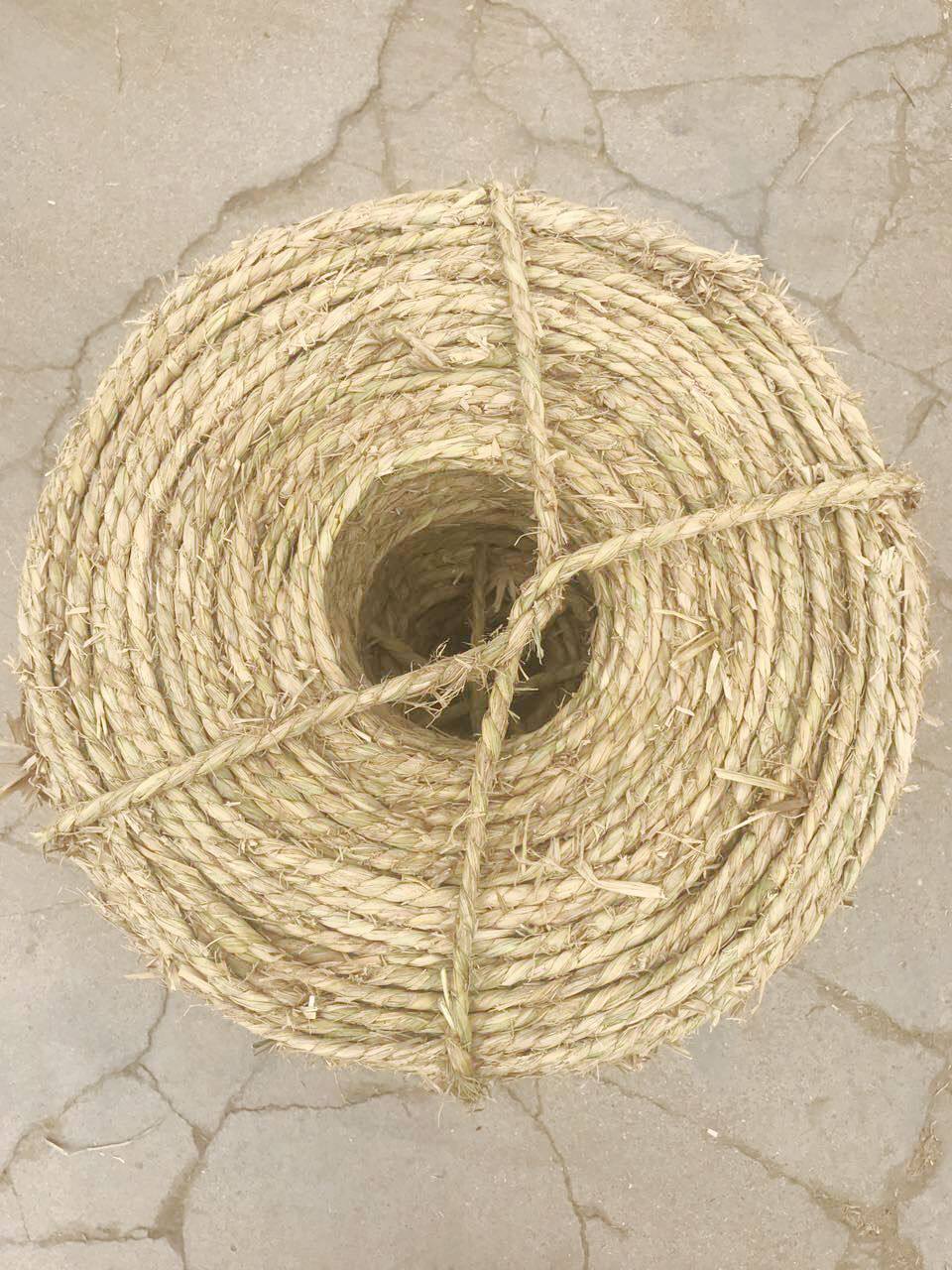 Straw rope woven into bundles of straw rope quality dry straw tree bundled flower wood transplanting bandaged soil polo straw rope