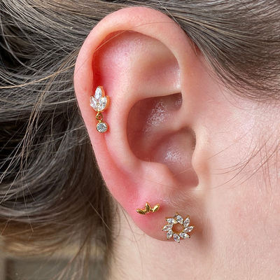 F136 implantable grade medical titanium alloy micro-inlay horse eye zircon flower clover ear stud puncture internal thread ear bone stud