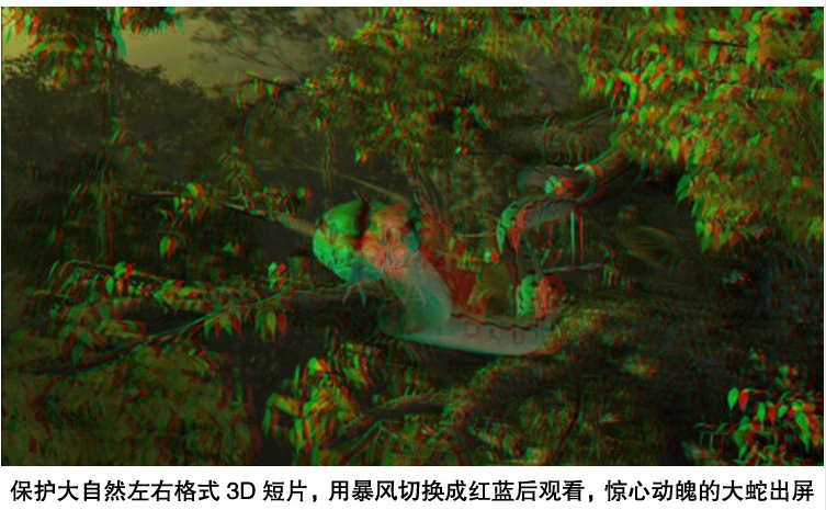 Lunettes 3D - Ref 1240348 Image 22