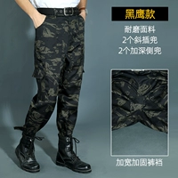 Черный Йельский университет