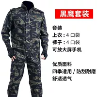 Элитный комплект, черный орел