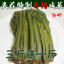  Toon pickles under rice Fresh toon buds pickles Yimeng farm pickled pickles Pickled toon head stubble 500g