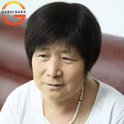 Middle-aged and elderly wig hand-woven mother gray real hair wig Short hair female oblique Liuhai grandmother whole top straight hair
