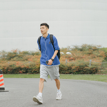 Lu Xiaohu original dinosaur standard American lapel short sleeve mens T-shirt Japanese Tide brand fake two men polo shirt tide