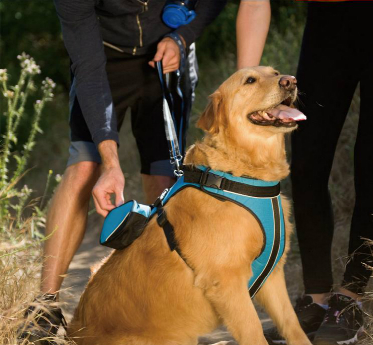 Super low price clearance crazy paw pet chest protector backpack dog harness golden retriever teddy leash harness chest harness