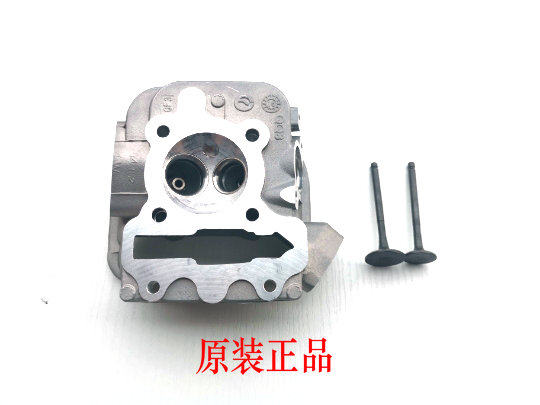 Apply motorcycle GCC Princess WH100T-A-H-F-G Hyung Hyundai Cylinder Head assembly
