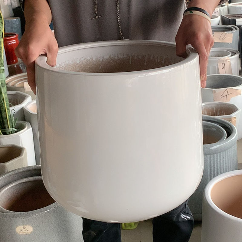 Pop minimalist Large Flower Pot Lily Bamboo Millennium Wood Violin Leaves Banyan Bird Basin Living Room Office Large Flower Pot-Taobao