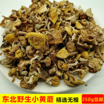 Northeast wild yellow mushroom pine tree oil mushroom wild mushroom dried chicken stewed mushroom 250g