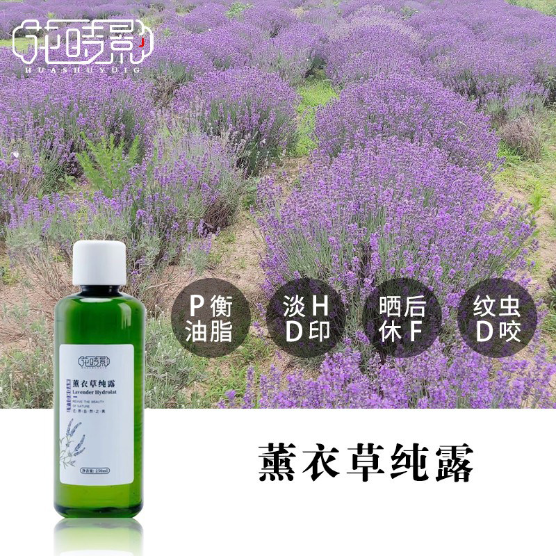Flower hour Shadow narrow foliage Lavender Pure Dew D Pit D Print Lavender Flowers Bronze Pan Distilled 250ml-Taobao