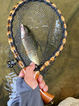 Stream copy net portable micro-luya special copy net glued fish net solid wood bamboo whip hand copy net fishing equipment