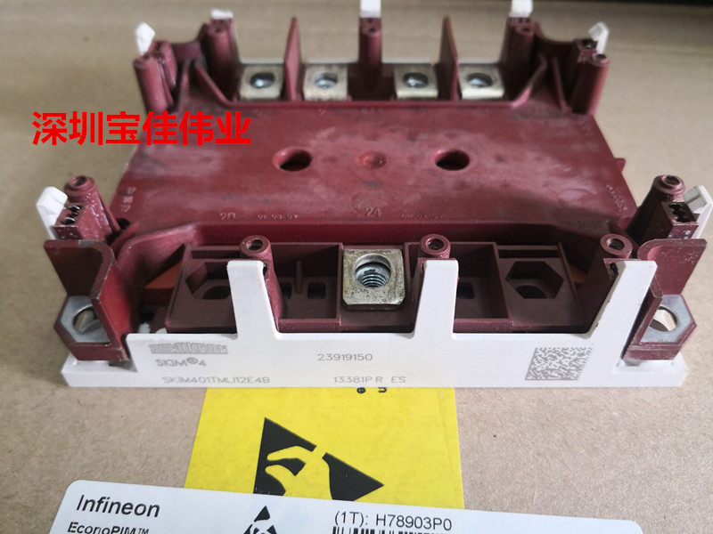 SKIM601TMLI12E4B SKIM401TMLI12E4B