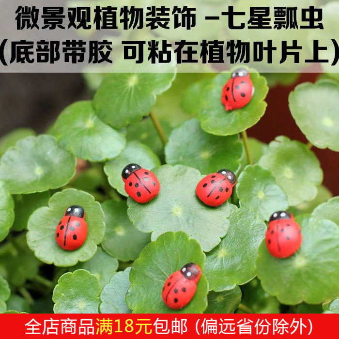 Succulent plant moss micro-landscape ecological bottle creative DIY decoration simulation mini seven-star ladybug small beetle