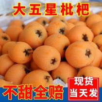 Loquat свежие фрукты Sichuan Great Five Stars Loquat 5 catty Loquat Fresh Great Fresh Full Great Fresh Когда сезон Full Box Full Box и Flowers