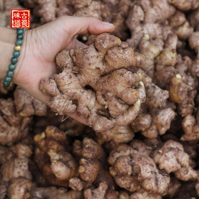 Ancient Shu Taste Sichuan Xiaohuangjiang 250g Fresh ginger Old ginger Tujiang Jiang ginger Mother Commercial 10 share 5 catty