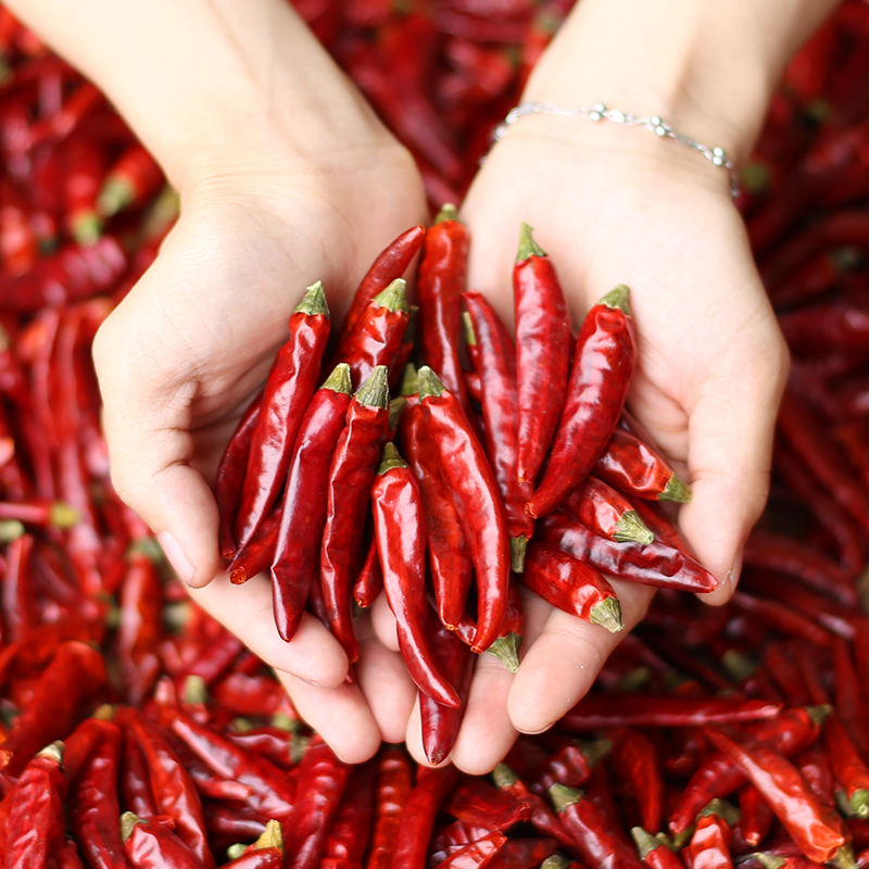 Ancient Shu Taste Sichuan Tenproduced Chater Pepper Dry Chilli Farmers Guizhou Seven Star Peppers Xiaomi Peppers can be commercially available
